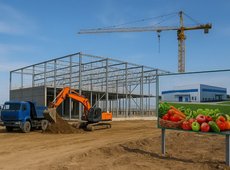 Переработку овощей и фруктов запустят в Алматинской области