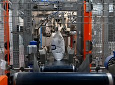 Переработку бобовых и масличных культур запустили в Семее