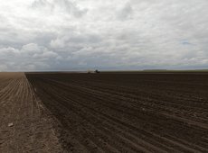 Хозяйство в Жамбылской области лишилось земли из-за распашки пастбищ под посев