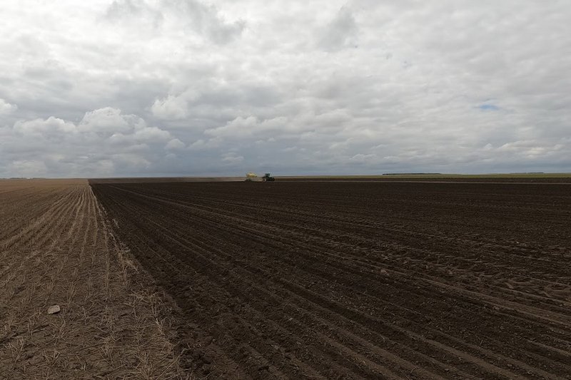 Хозяйство в Жамбылской области лишилось земли из-за распашки пастбищ под посев