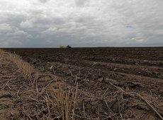 Перераспределить изъятые земли до середины 2026 году поручил Токаев