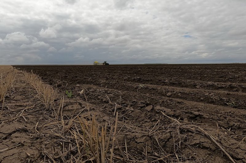 Перераспределить изъятые земли до середины 2026 году поручил Токаев