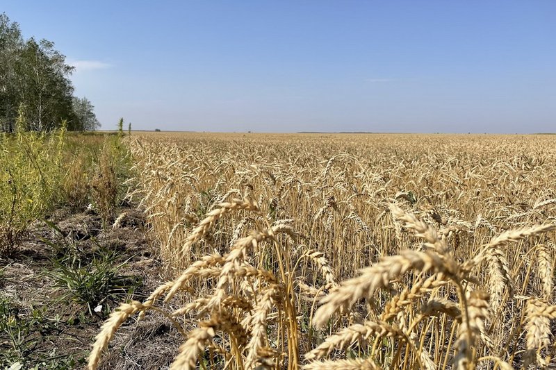 Қазақстанда жерді жауапты басқару жөнінде диалог өтті