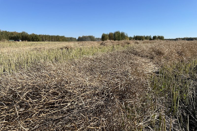 План распределения неиспользуемых земель подготовил Минсельхоз