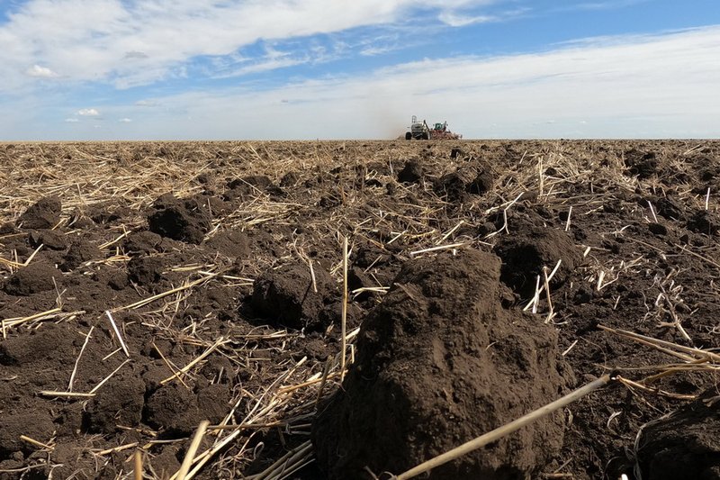 Қазақстанда 11 млн гектар жер тәркіленді: бұл жақсы ма немесе жаман ба?