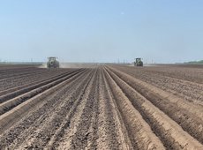 В Казахстане с начала года изъято около 650 тыс. га сельхозземель