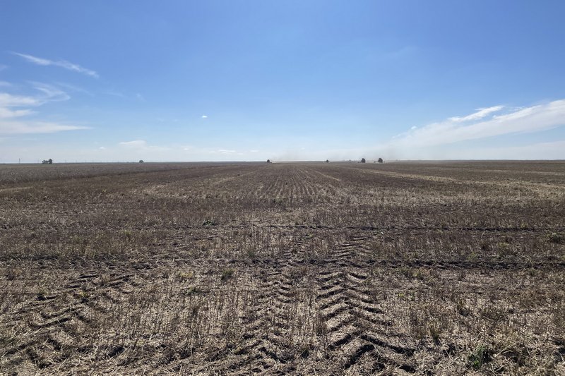 Земли стоимостью 29,8 млрд тенге изъяли в СКО