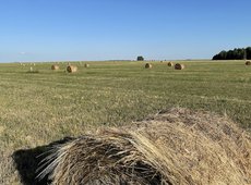 Обеспечить прозрачность перераспределения изъятых земель требуют эксперты