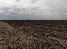 Карбоновый аграрный полигон появится в Казахстане