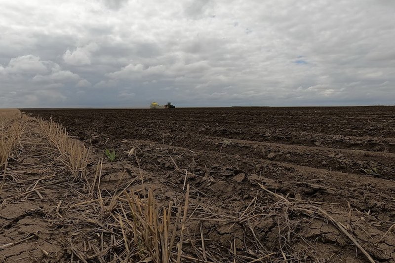 Карбоновый аграрный полигон появится в Казахстане