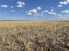 2 млн га сельхозземель изъяли в Казахстане в 2025 году