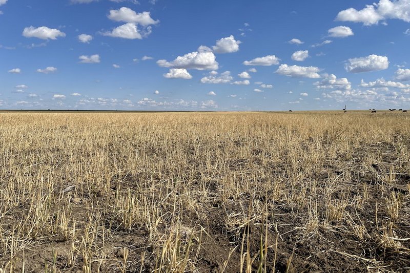 2 млн га сельхозземель изъяли в Казахстане в 2025 году