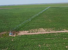 В Казахстане увеличат налог для неэффективных землепользователей