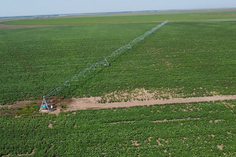 В Казахстане увеличат налог для неэффективных землепользователей