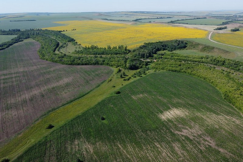 Более 2 млн га земли изъяли в Казахстане за год