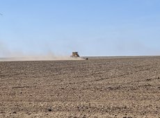 Увеличить лимиты на сельхозземлю просят костанайские аграрии