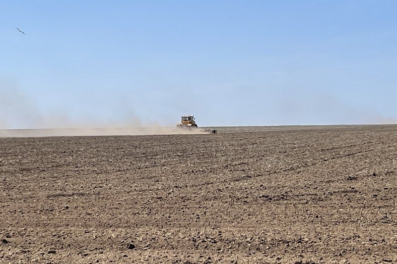 Увеличить лимиты на сельхозземлю просят костанайские аграрии