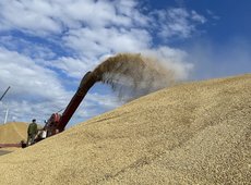 Продкорпорация реализовала рекордный объем зерна