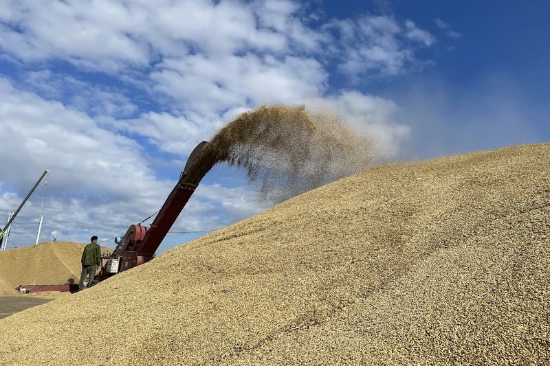 Казахстан планирует расширить поставки зерна и мяса в Китай
