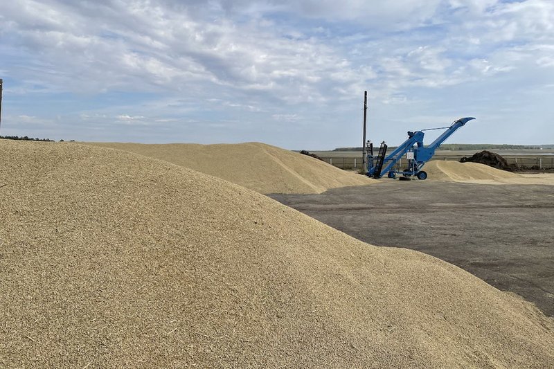 АЗРК сообщило о снижении тарифов на элеваторах