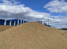 Россия вновь ввела запрет на ввоз зерна из Казахстана