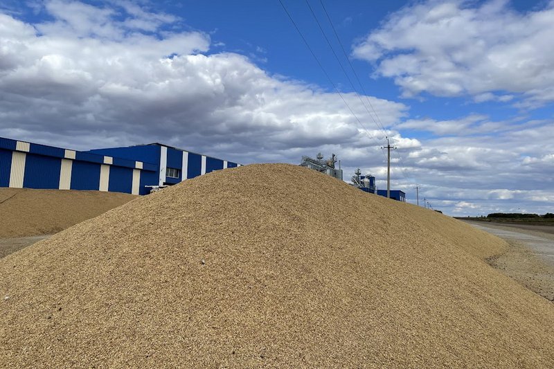 Россия вновь ввела запрет на ввоз зерна из Казахстана