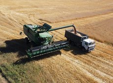 Рекордный урожай зерна и масличных ожидают в Казахстане