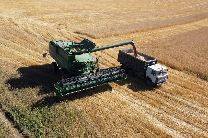 Рекордный урожай зерна и масличных ожидают в Казахстане