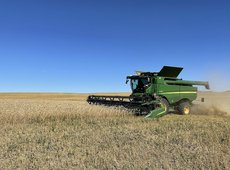 Урожайность зерновых в Восточном Казахстане снизилась на треть