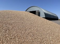 Продкорпорация начинает прямой закуп зерна