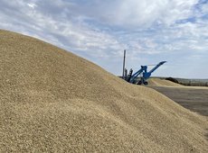 Продкорпорация реализовала 850 тыс. тонн зерна за полгода