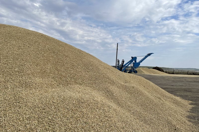 Продкорпорация реализовала 850 тыс. тонн зерна за полгода