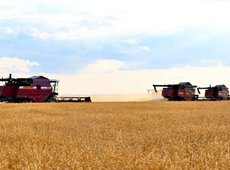 В Казахстане выделено 40 млрд тенге на субсидирование экспорта зерна