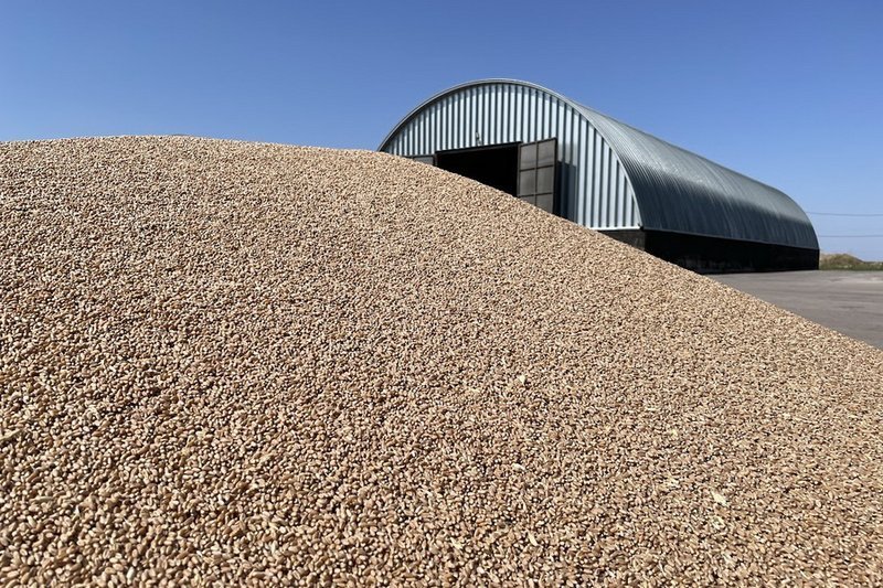 Продкорпорация ведет прямой закуп зерна от фермеров