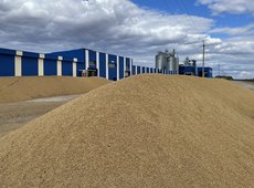 Комплексы по переработке зерна построят в Акмолинской области