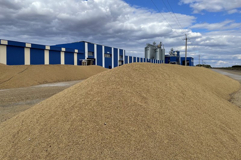 Комплексы по переработке зерна построят в Акмолинской области