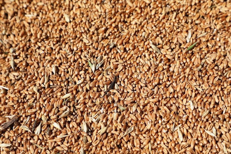 КТЖ согласовала план перевозок зерна и продуктов перемола на октябрь