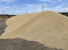 Ценовой дисбаланс на рынке пшеницы сложился в Казахстане