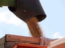 Казахстан начал экспорт зерна в Марокко