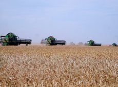 Акмолинская область стала лидером по сбору зерна