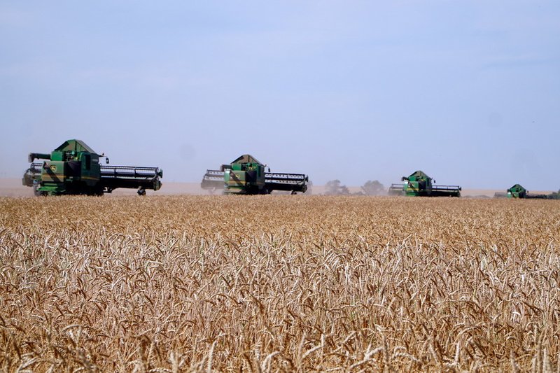 Акмолинская область стала лидером по сбору зерна