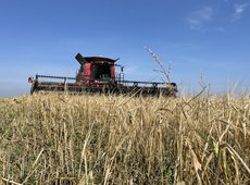 Об изменениях в финансировании АПК рассказал Султанов