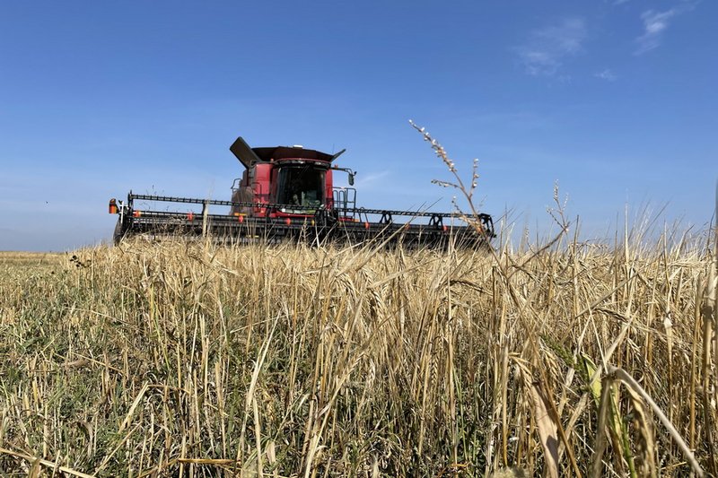 Об изменениях в финансировании АПК рассказал Султанов