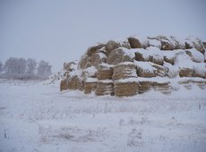 Қазақстан синоптиктері наурызға дейінгі ауа райы болжамын берді