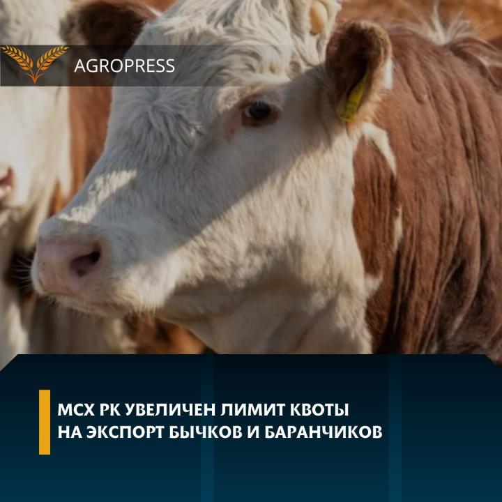 Фотосуретті түсірген: www.gov.kz