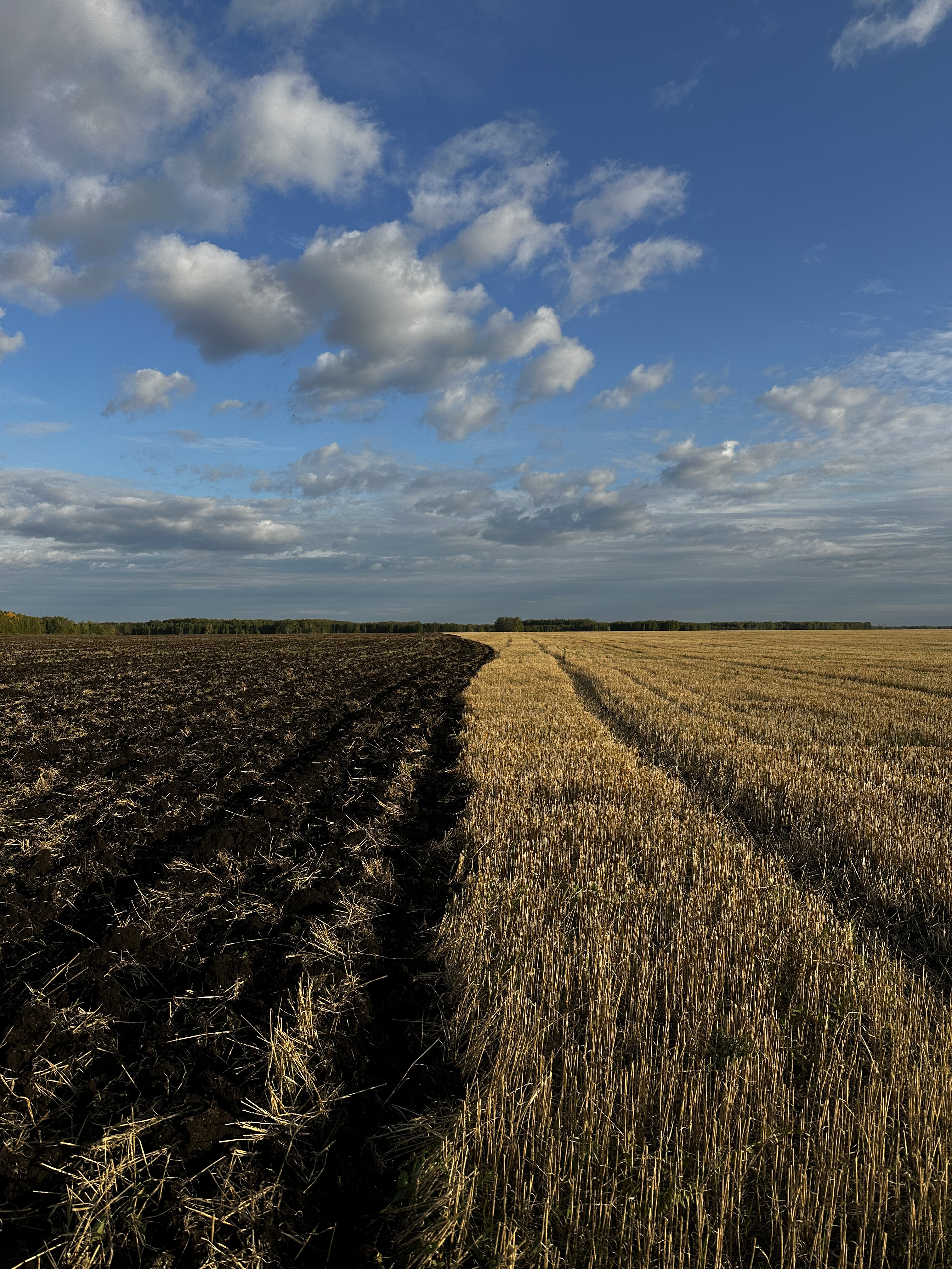 Органическое земледелие