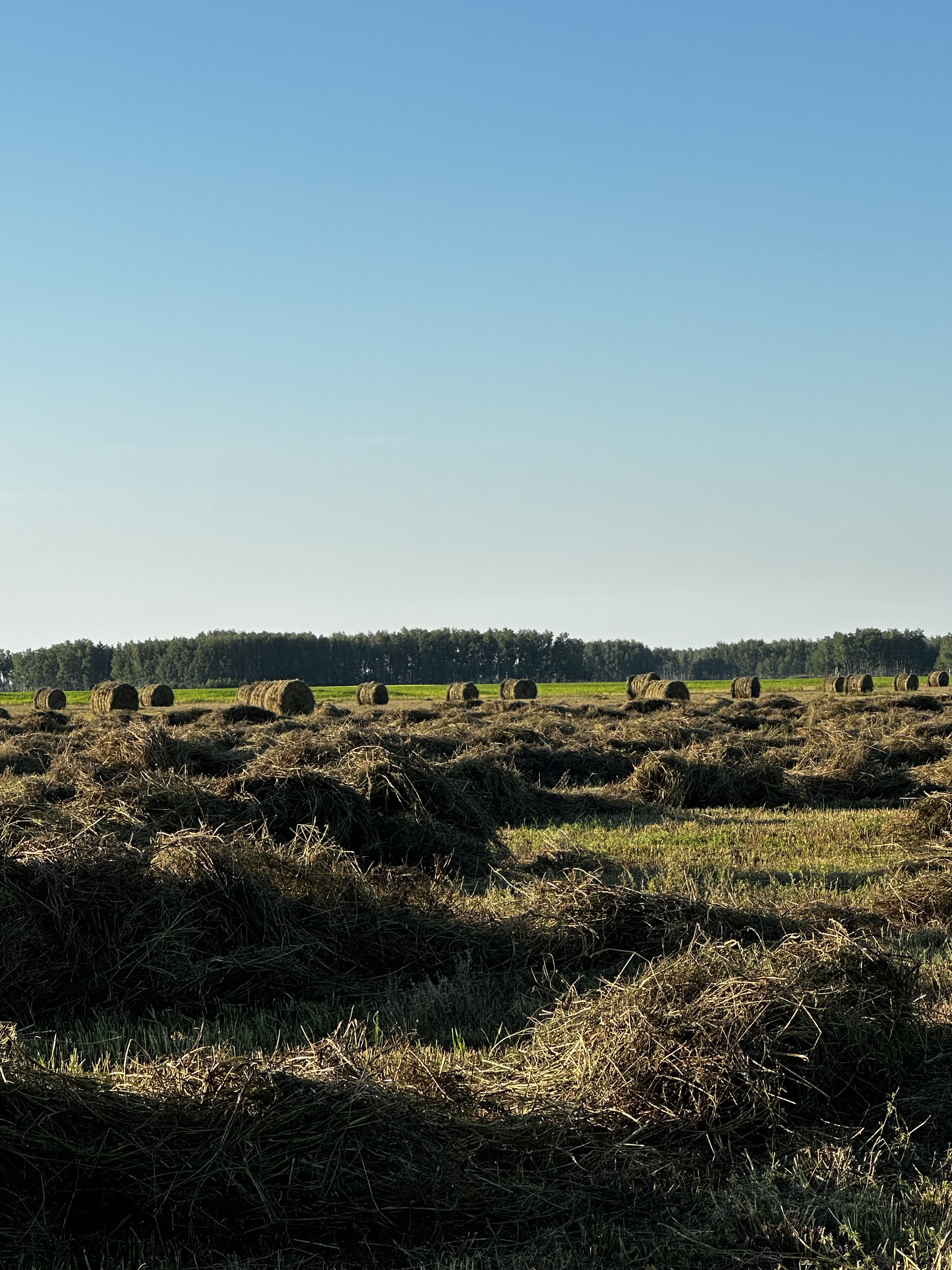 Органическое земледелие