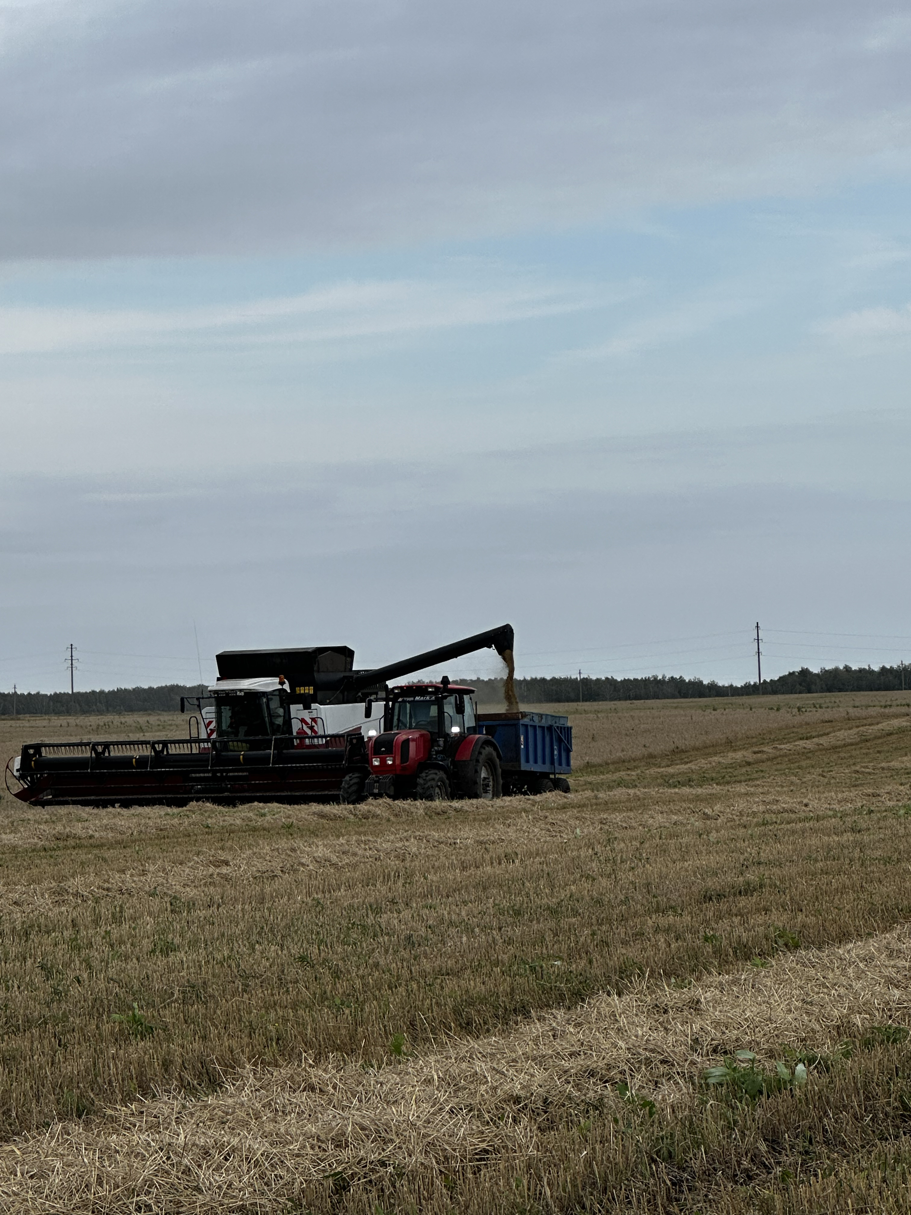 Органическое земледелие