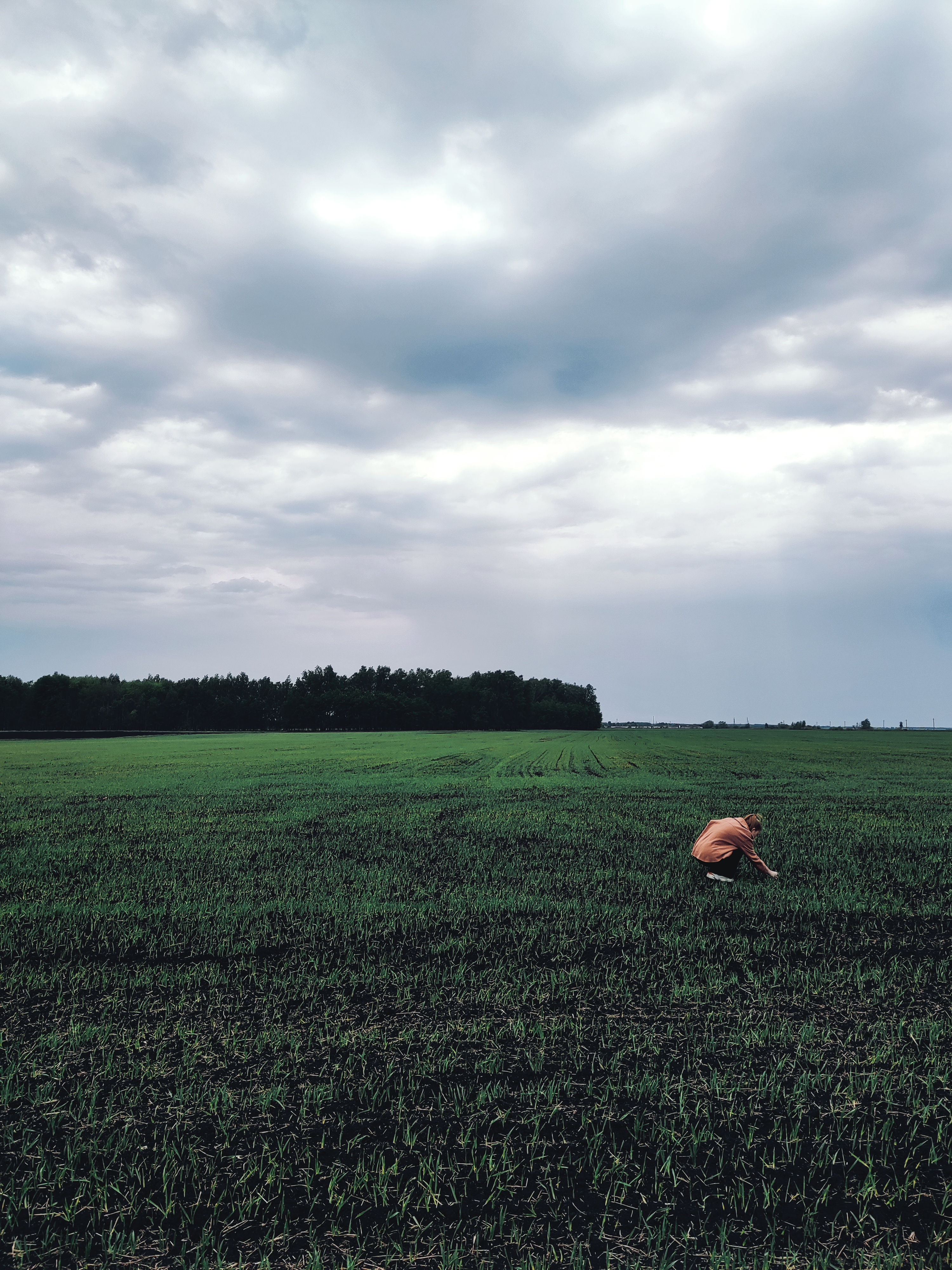Органическое земледелие