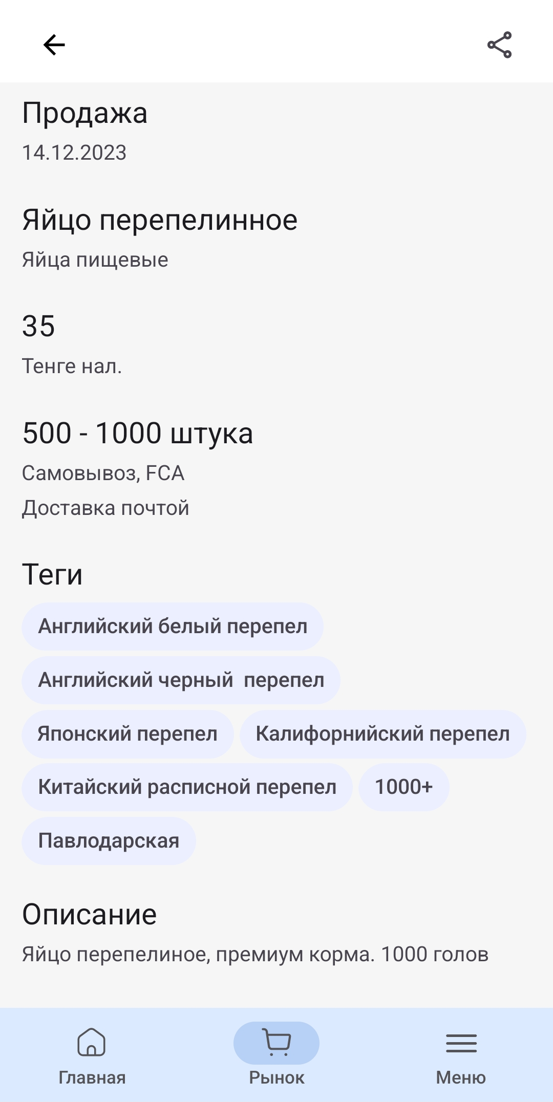 Screenshot_20231214-145702_Baibolsynkz 1